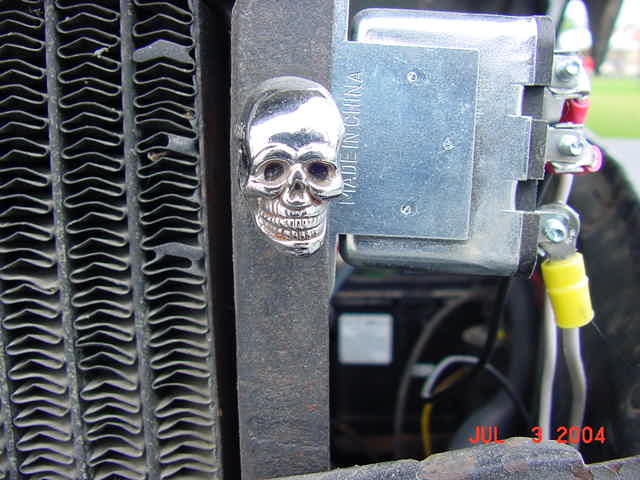Well shit, I had to stick a skull on the Ford somewhere!  That's the horn relay mounted to the right side of the radiator.