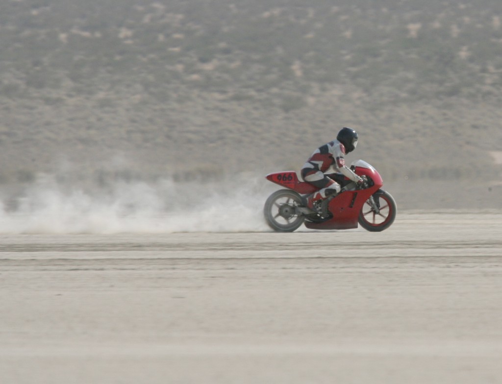 After the traps in July.
Photo by Stewart Harnick.