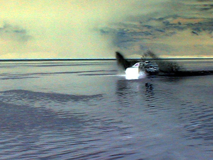 Bad Photoshop Skills