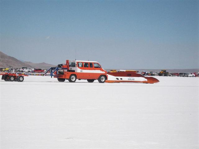 JCB push tractor in the background.