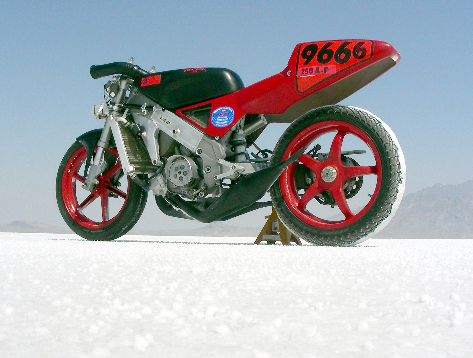 Okay, pretty picture time.