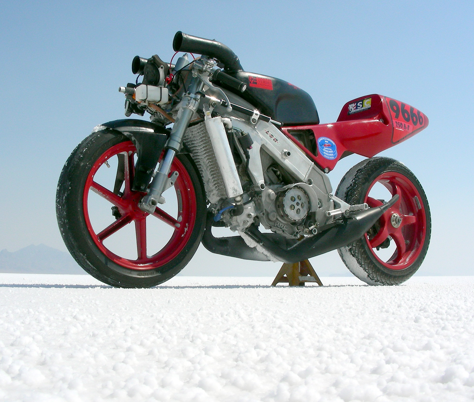 Okay, pretty picture time.