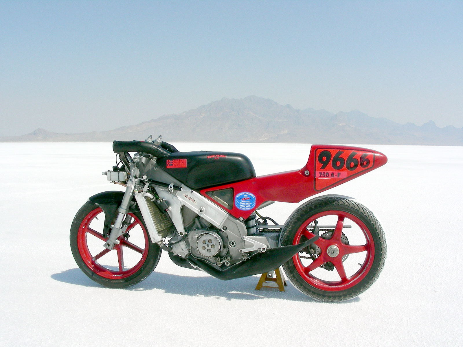 Okay, pretty picture time.