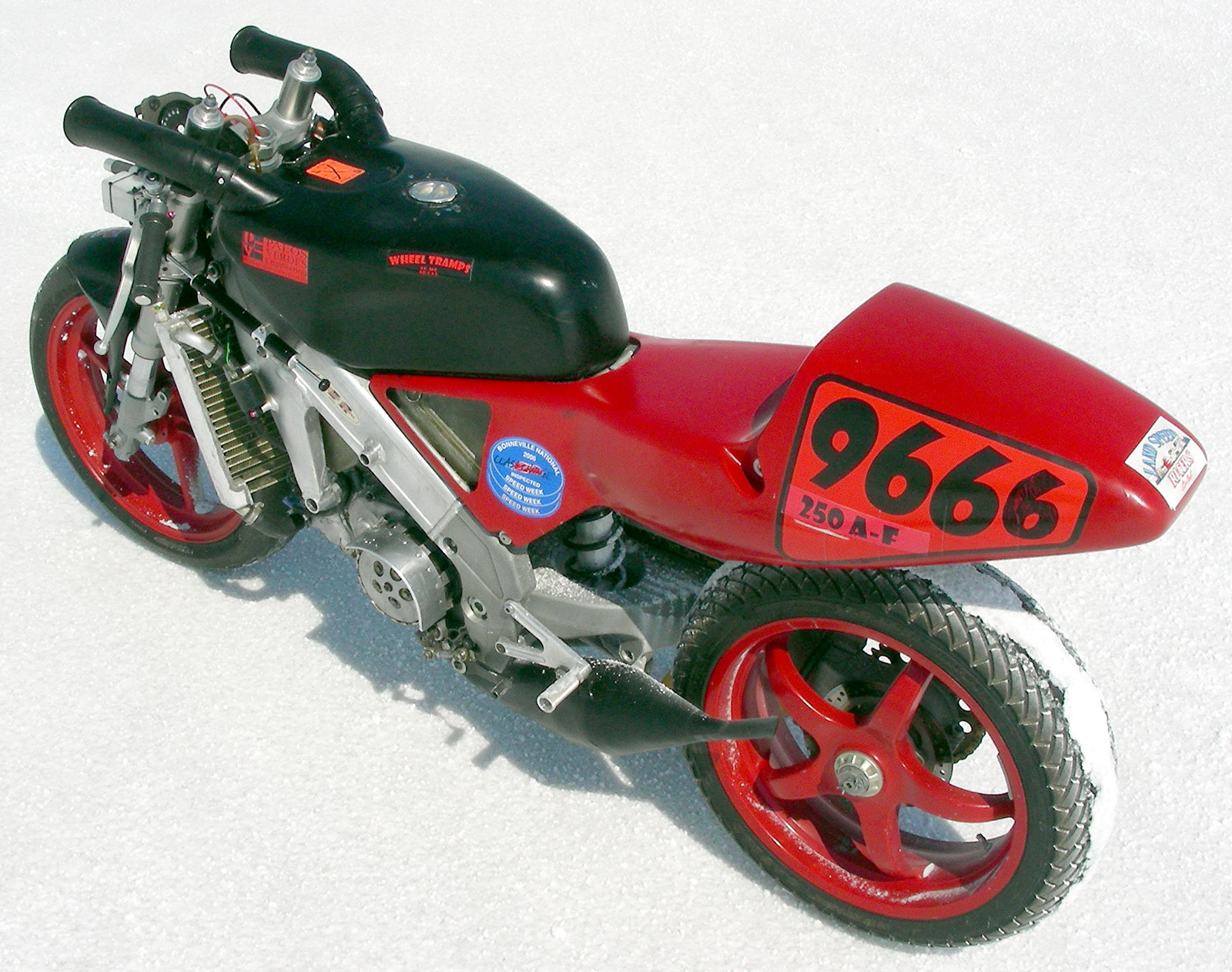 Okay, pretty picture time.